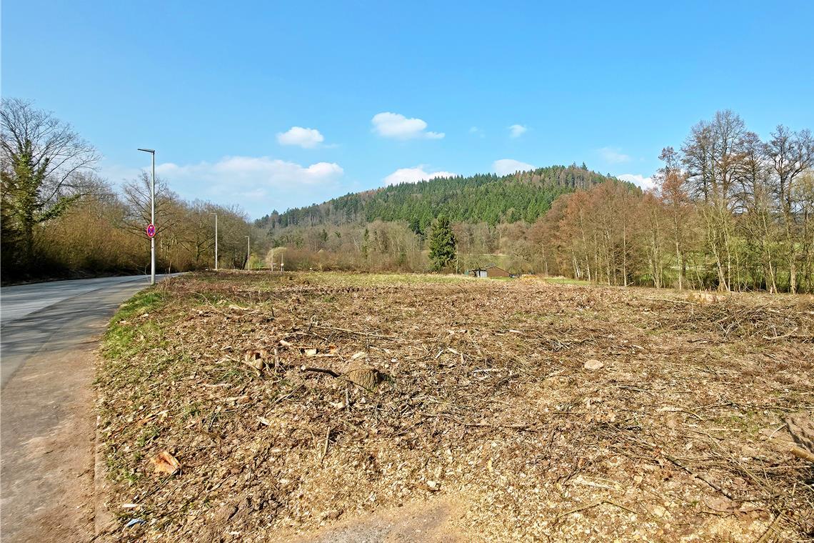 Auf dem Grundstück gab es Baumfällarbeiten und Rückschnitte. Foto: Stefan Bossow