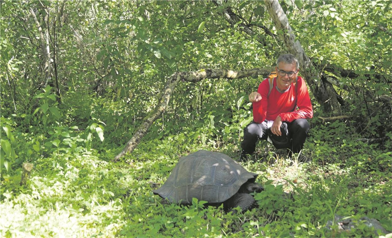 Nicht in den Krokodilspeiseplan gepasst Auf den Galapagos-Inseln in Ecuador begegnet Martin Stierand Riesenschildkröten. Fotos: M. Stierand