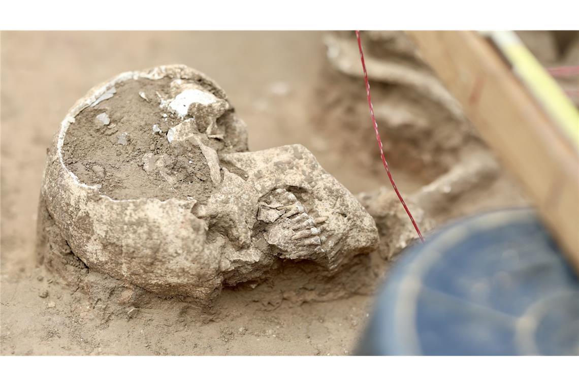 Funde aus Bronze- und frühen Eisenzeit in Windpark entdeckt Auf der Anhöhe südlich von Söllingen sind beim Baggern sechs oder mehr Bestattungen entdeckt worden. Es handelt sich um Erdgräber und um mindestens zwei bis drei Bestattungen mit Steinschutz und Steineinbauten.