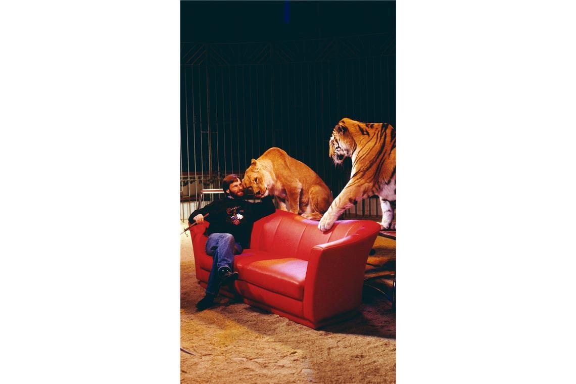 Im Fernsehen oder auf Reisen – bekannte Rolf Benz-Designs im Alltag Auf der Couch aus dem Hause Benz tummelten sich in der Show auch mal die Tiger.