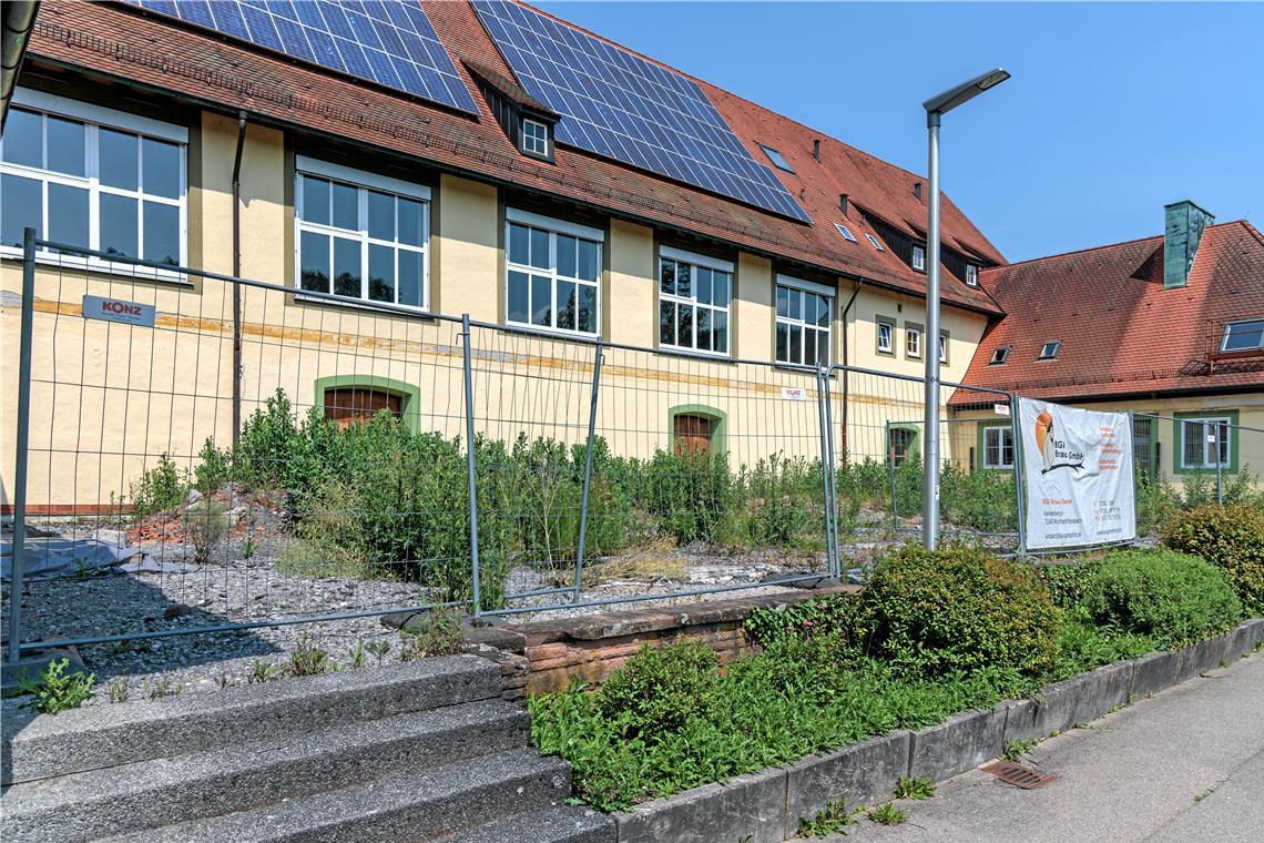 Erste Etappe zum Mensaumbau Auf der lange Zeit verwaisten Baustelle wird es weitergehen, wenn mit den Rohbauarbeiten begonnen werden kann. Foto: Stefan Bossow