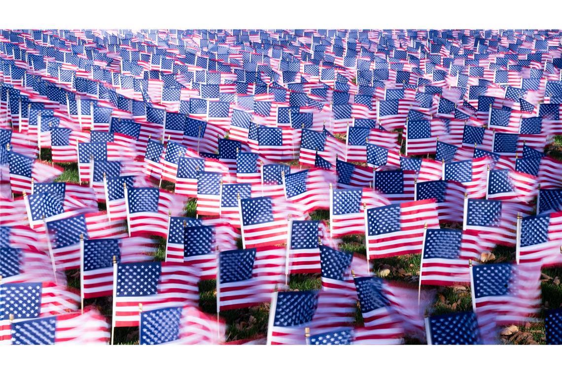 Auf der National Mall in Washington wehen Flaggen im Wind.
