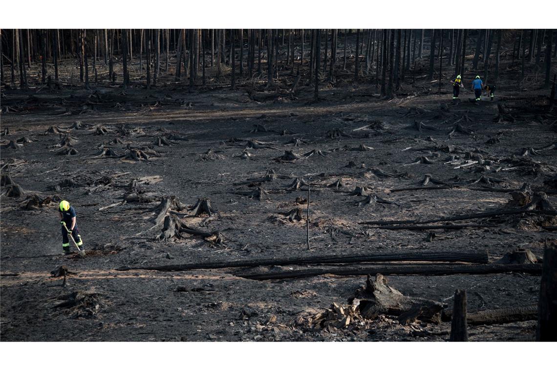 Waldbrände im Osten: Brandgeruch bis nach Berlin Auf der Saalfelder Höhe in Thüringen konnten die Einsatzkräfte über Nacht eine Ausbreitung verhindern.