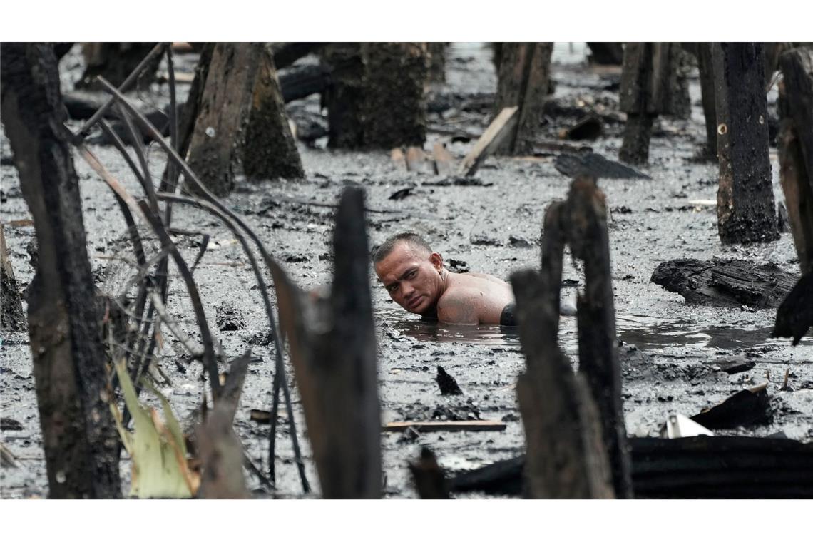 Bilder des Tages Auf der Suche nach Verwertbarem.