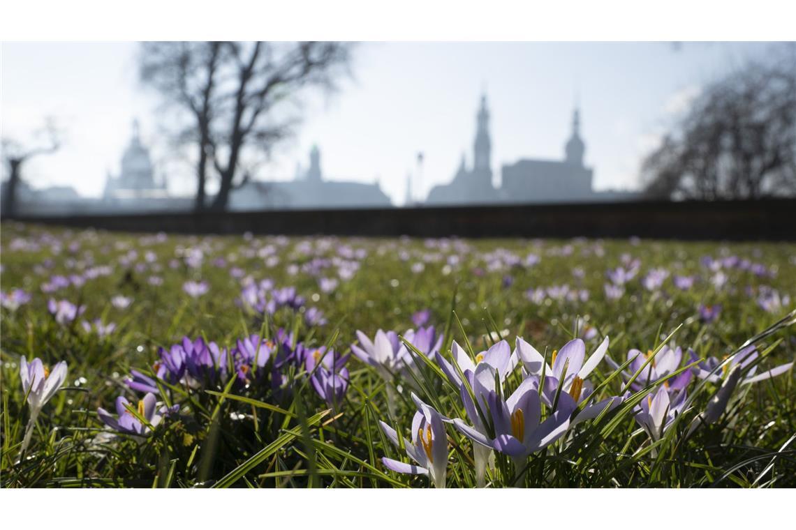 Sonniges Frühlingswetter - Temperaturen bis 20 Grad Auf die Deutschen wartet in den kommenden Tagen mildes Frühlingswetter.