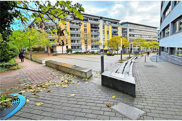 Auf diesem Platz soll bald Stuttgarts erster Miniwald wachsen.