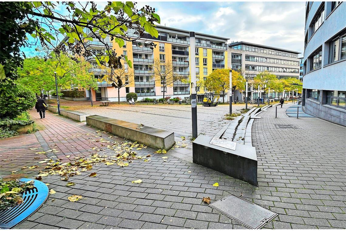 Auf diesem Platz soll bald Stuttgarts erster Miniwald wachsen.