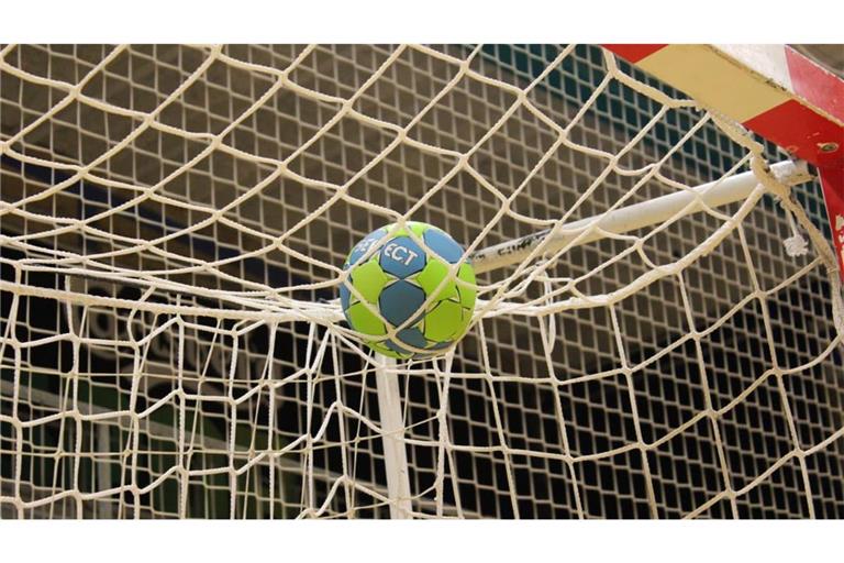 Auf handball.net fehlen derzeit die Spielpläne der BWHV-Wettbewerbe. Abrufbar sind sie vorerst bei Handball4all.