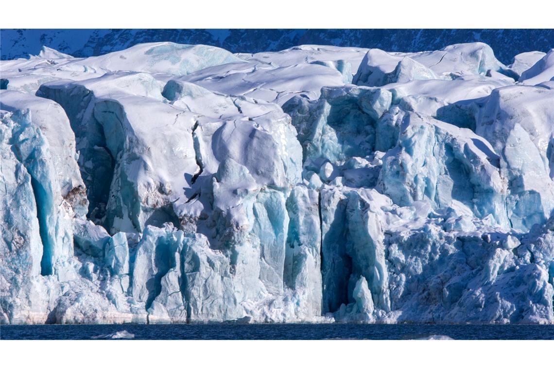 Auf Spitzbergen ist bei einem einjährigen männlichen Eisbären das Vogelgrippe-Virus nachgewiesen worden.