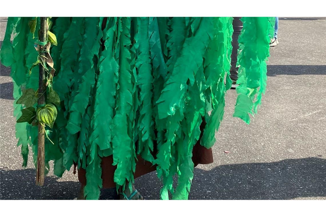 Aufwendig verkleidet zogen viele Klimaschützer durchs Zentrum der Millionenstadt Belém.