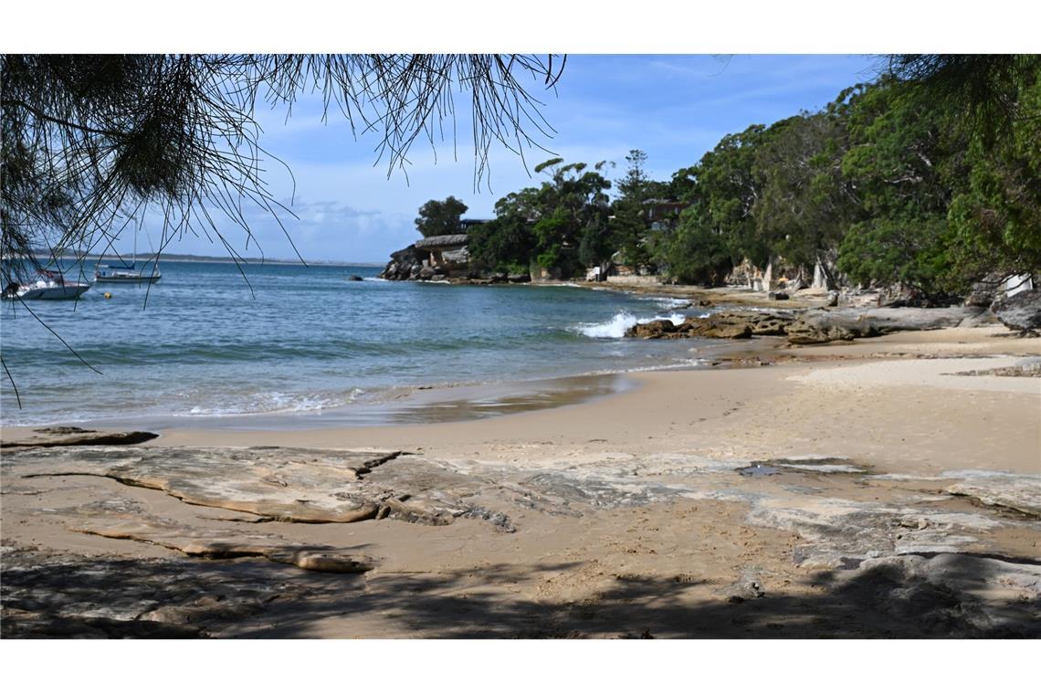 Haiangriff nahe Sydney: Frau schwer am Bein verletzt Augenzeugen am Gunyah Beach eilten der Frau zu Hilfe - und retteten ihr vermutlich das Leben.