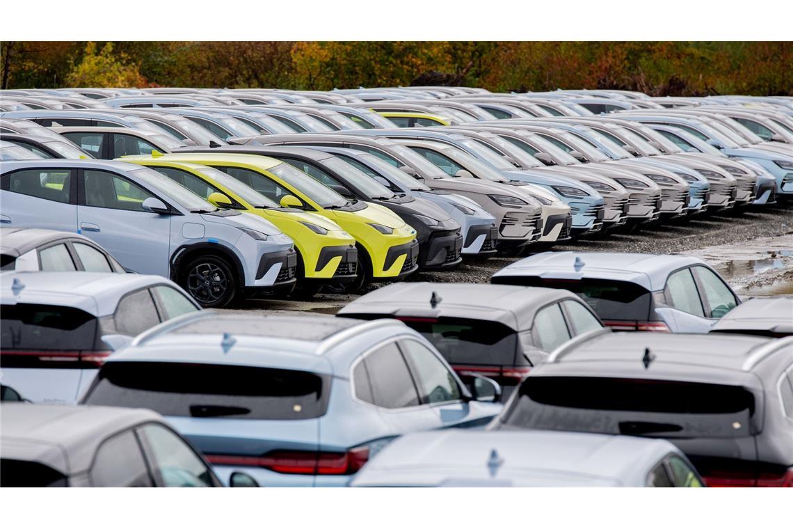 Aus China importierte Elektroautos in Wilhelmshaven. Der Druck der chinesischen Industrie auf ihre deutsche Konkurrenz wächst beständig. (Symbolbild)