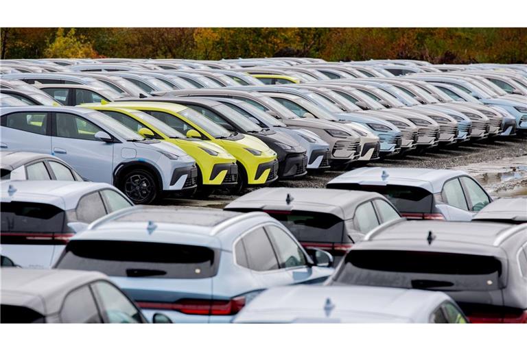 Aus China importierte Elektroautos in Wilhelmshaven. Der Druck der chinesischen Industrie auf ihre deutsche Konkurrenz wächst beständig. (Symbolbild)