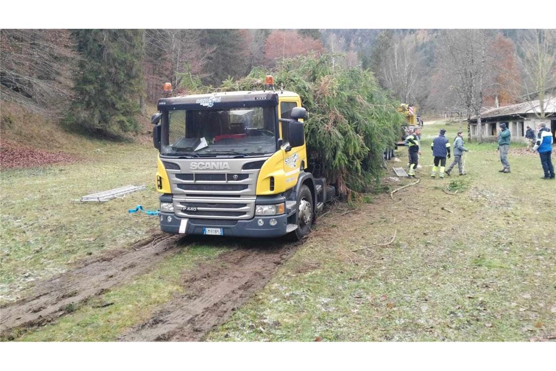 Alle Jahre wieder: Öko-Streit um Papst-Weihnachtsbaum Aus dem Trentino ging es für die Rotfichte nach Rom. (Archivbild)