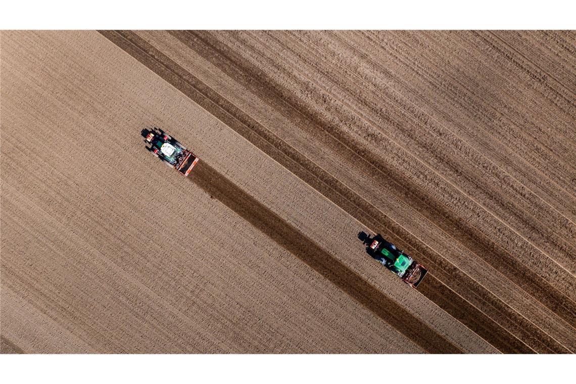 Bilder des Tages Ausbringung von Saatkartoffeln in Mecklenburg-Vorpommern.