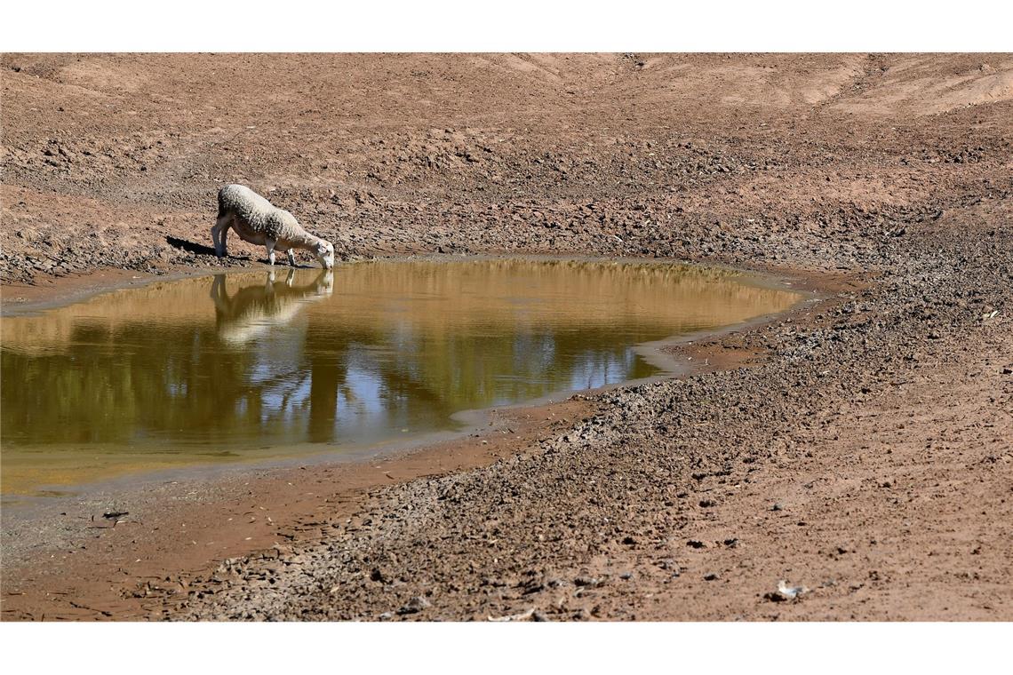Australien kämpft bei El Niños mit verheerenden Dürren. (Archivbild)