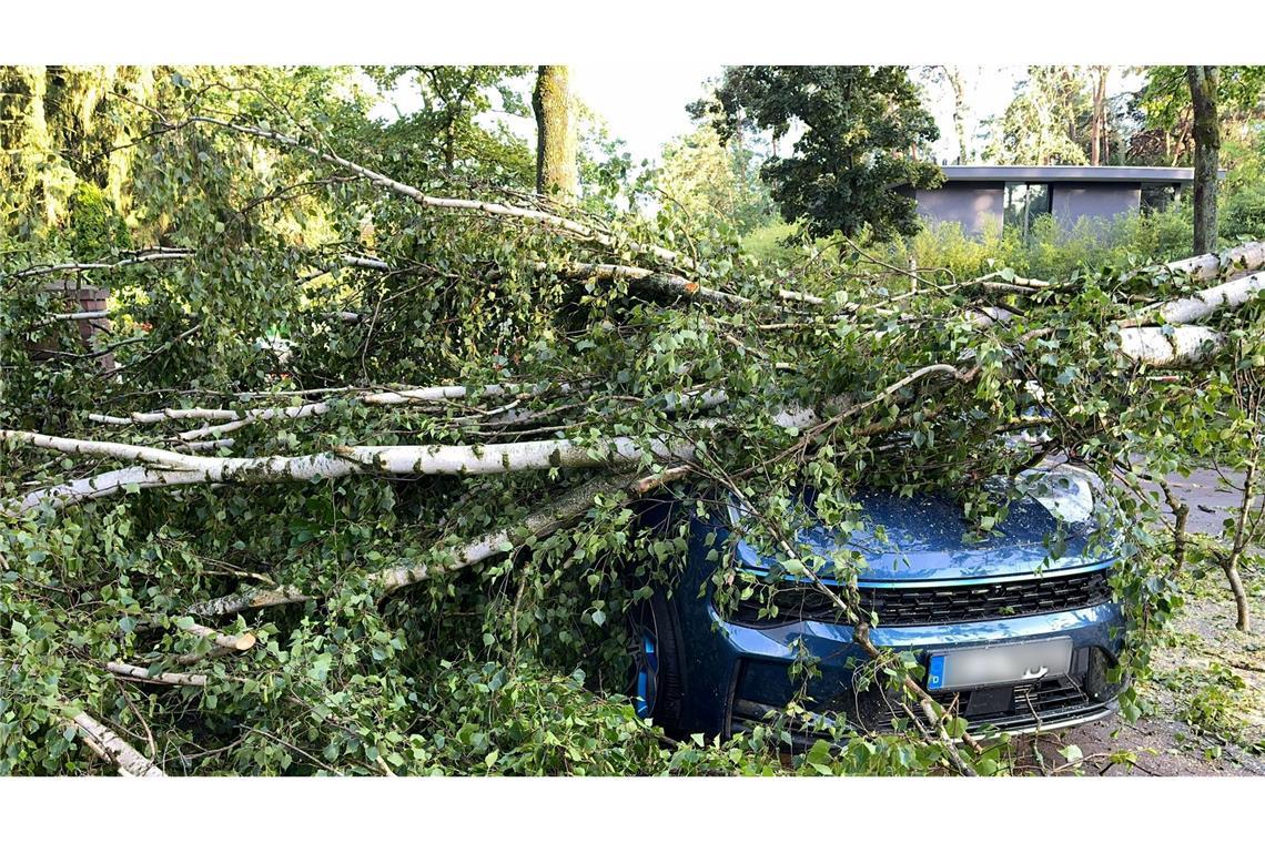 Bäume, die auf Autos stürzen und andere Naturgefahren richteten vergangenes Jahr deutlich weniger Schäden an. (Archivbild)
