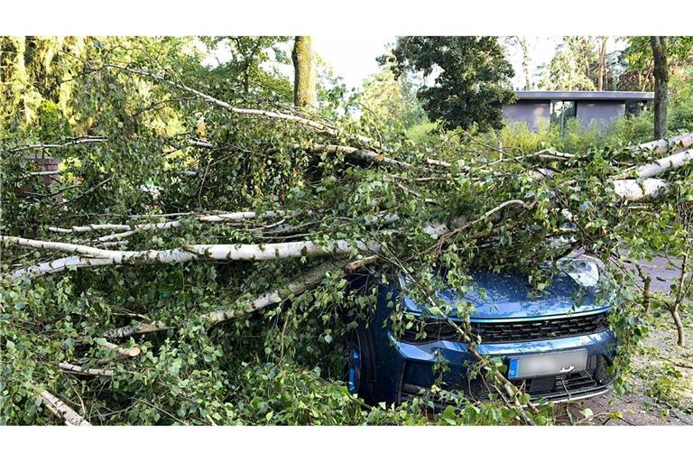 Bäume, die auf Autos stürzen und andere Naturgefahren richteten vergangenes Jahr deutlich weniger Schäden an. (Archivbild)