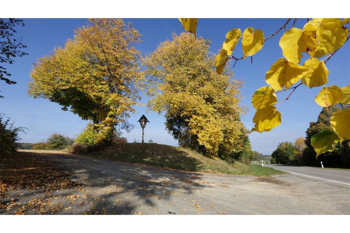 Bäume mit gelb gefärbtem Herbstlaub leuchten auf der Schwäbischen Alb bei Ittenhausen in der Sonne.
