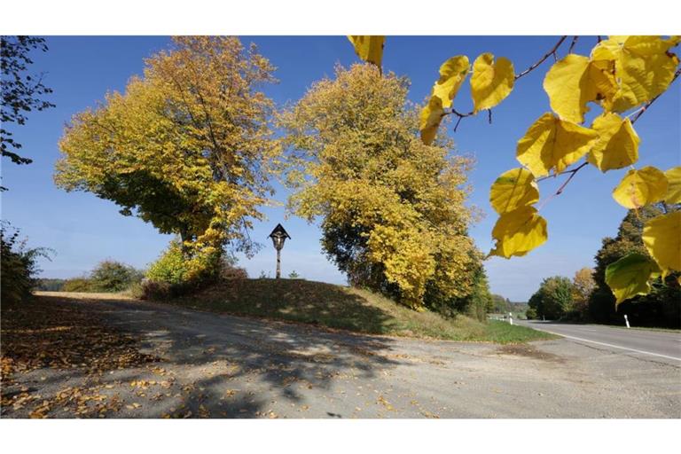 Bäume mit gelb gefärbtem Herbstlaub leuchten auf der Schwäbischen Alb bei Ittenhausen in der Sonne.