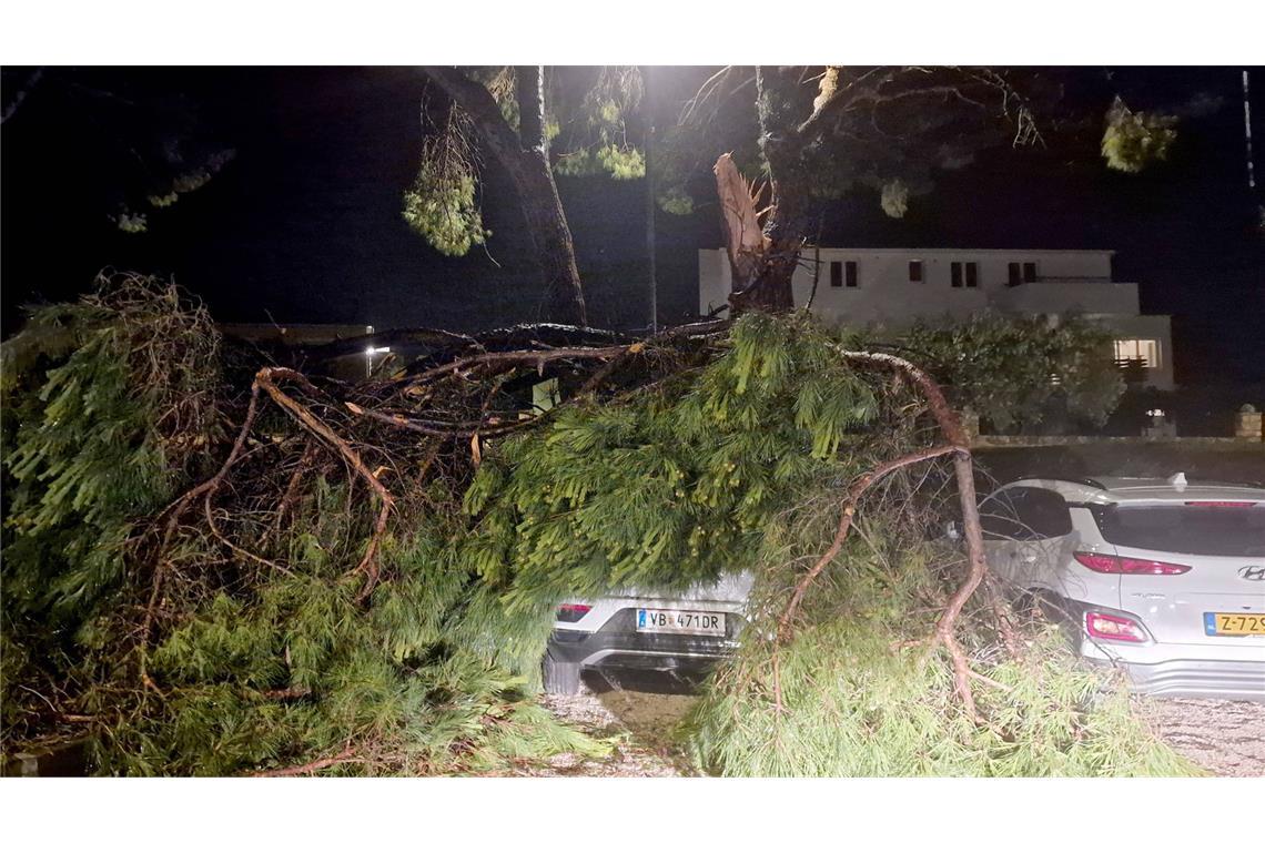Schwere Gewitter verwüsten beliebte kroatische Ferienregion Bäume sind umgestürzt und haben Autos unter sich begraben.