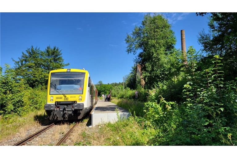 Bahn-Idylle auf der Ablachtalbahn. Doch bald könnte die Strecke modernisiert werden - weil Bürger und lokale Politik hartnäckig geblieben sind.