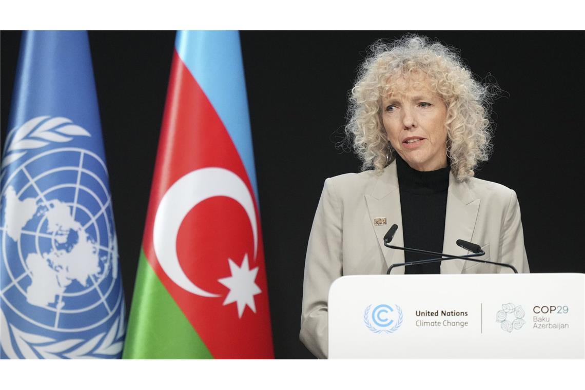 Entwurf sieht Hilfen in Höhe von 250 Milliarden Dollar pro Jahr vor Baku ist in diesem Jahr Gastgeber des Weltklimakonferenz.