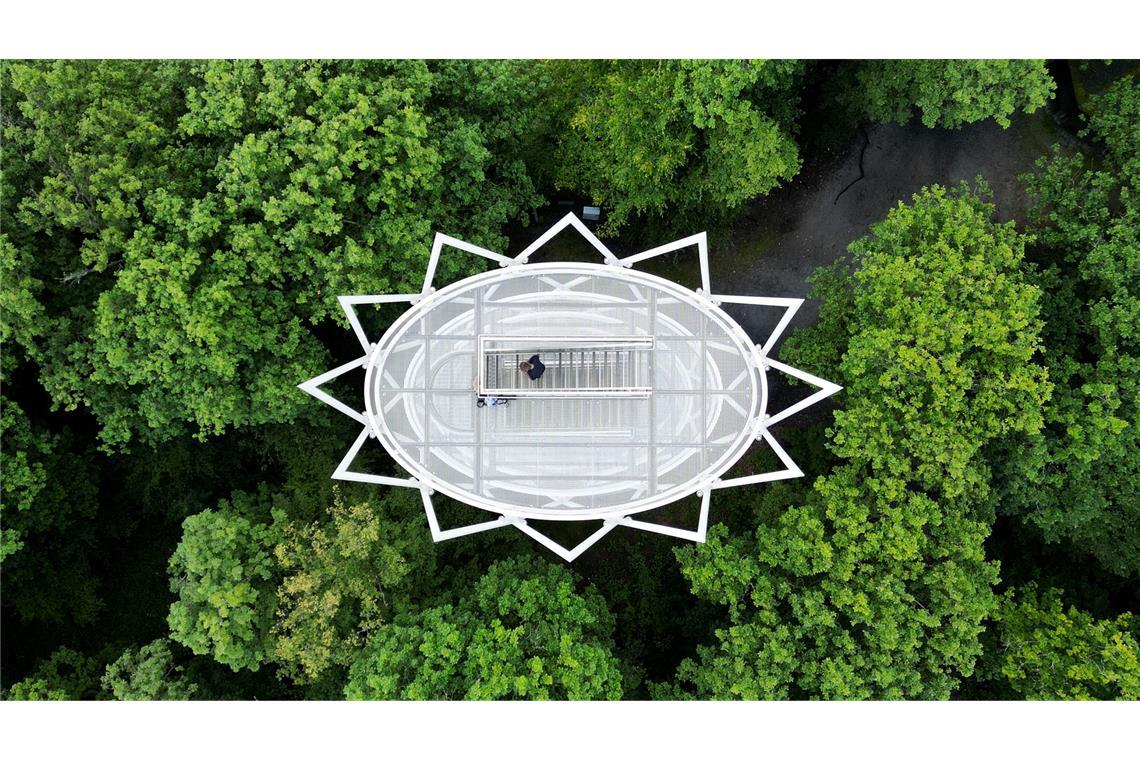 Bilder des Tages "Baum-Krone": Wie eine weiße Krone ragt der Hardtbergturm bei Königstein aus dem Wald empor (Luftaufnahme mit einer Drohne).