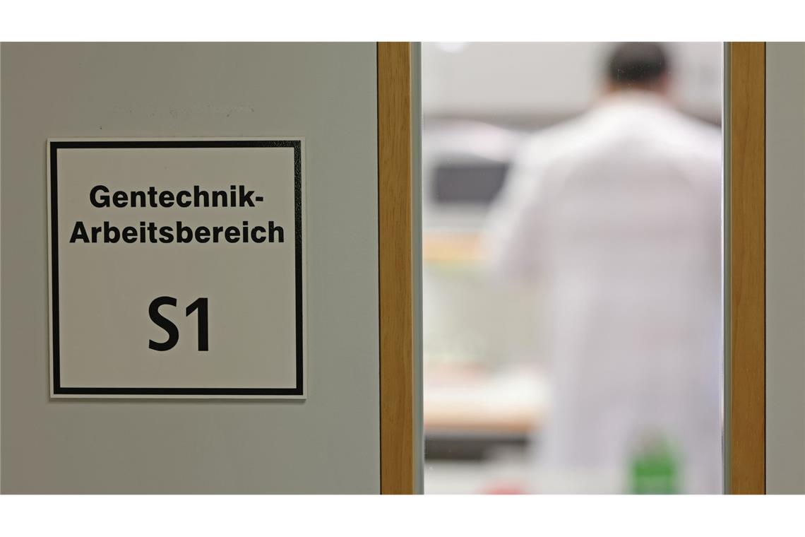 Befürworter erhoffen sich Obst- und Gemüsesorten, die ertragreicher, resistenter gegen den Klimawandel und nährstoffreicher sind.