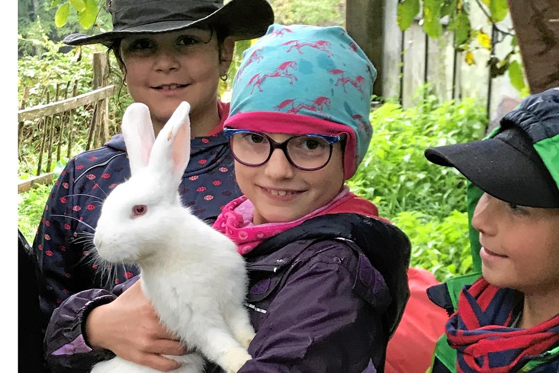 Tierische Abenteuer auf dem Wacholderhof Begegnung mit einem flauschigen Vertreter...