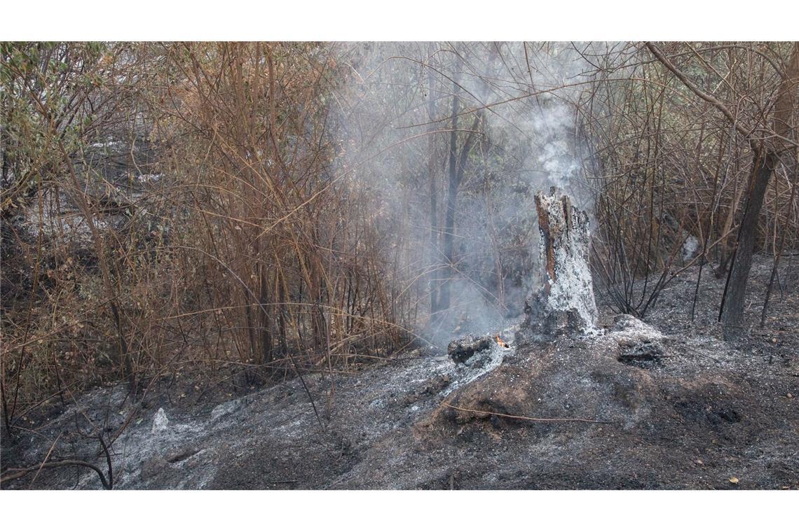 Toter bei Waldbrand in der Nähe von Madrid Bei dem Feuer in Tres Cantos kam ein Mann in den Flammen ums Leben.