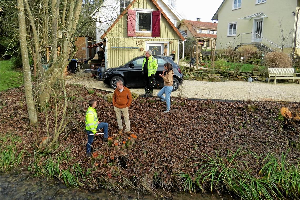 Baumfällung am Bachlauf Bei der Besichtigung vor Ort (von links): Falk Gfrörer, Uwe Lenz, Peter Häbich und Tonia Danese auf dem Grundstück beim Seebach. Rechter Hand sieht man den Stumpf der Silberweide, in der Mitte die Stämme der Esche. Foto: Christine Schick