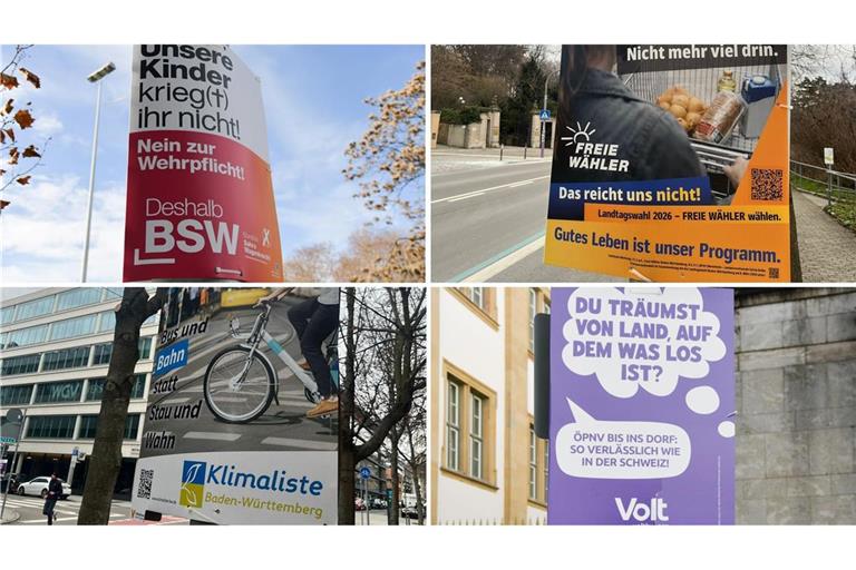 Bei der Landtagswahl in Baden-Württemberg stehen neben den bekannten auch viele kleine Parteien zur Wahl.