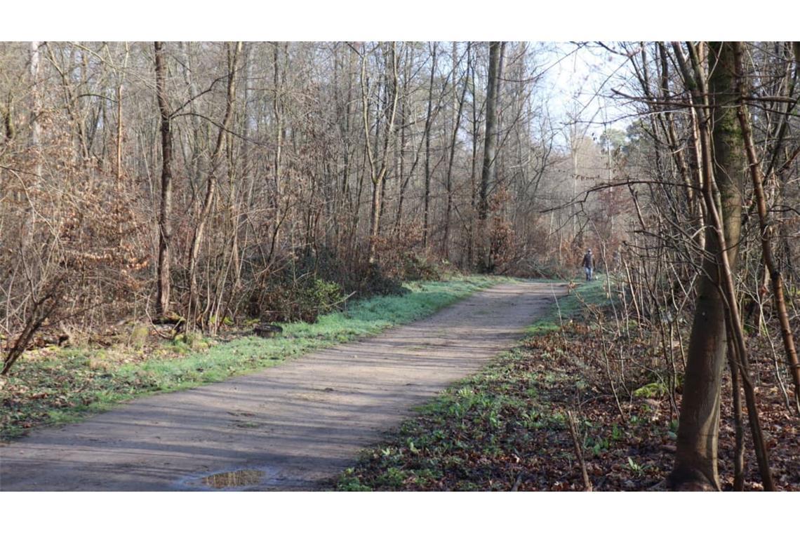 Bei der toten Frau, die in der Wald bei Mannheim gefunden worden war, handelt es sich laut Polizei um eine 19-Jährige, die nach derzeitigem Stand Opfer eines Gewaltverbrechens wurde.