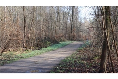 Bei der toten Frau, die in der Wald bei Mannheim gefunden worden war, handelt es sich laut Polizei um eine 19-Jährige, die nach derzeitigem Stand Opfer eines Gewaltverbrechens wurde.
