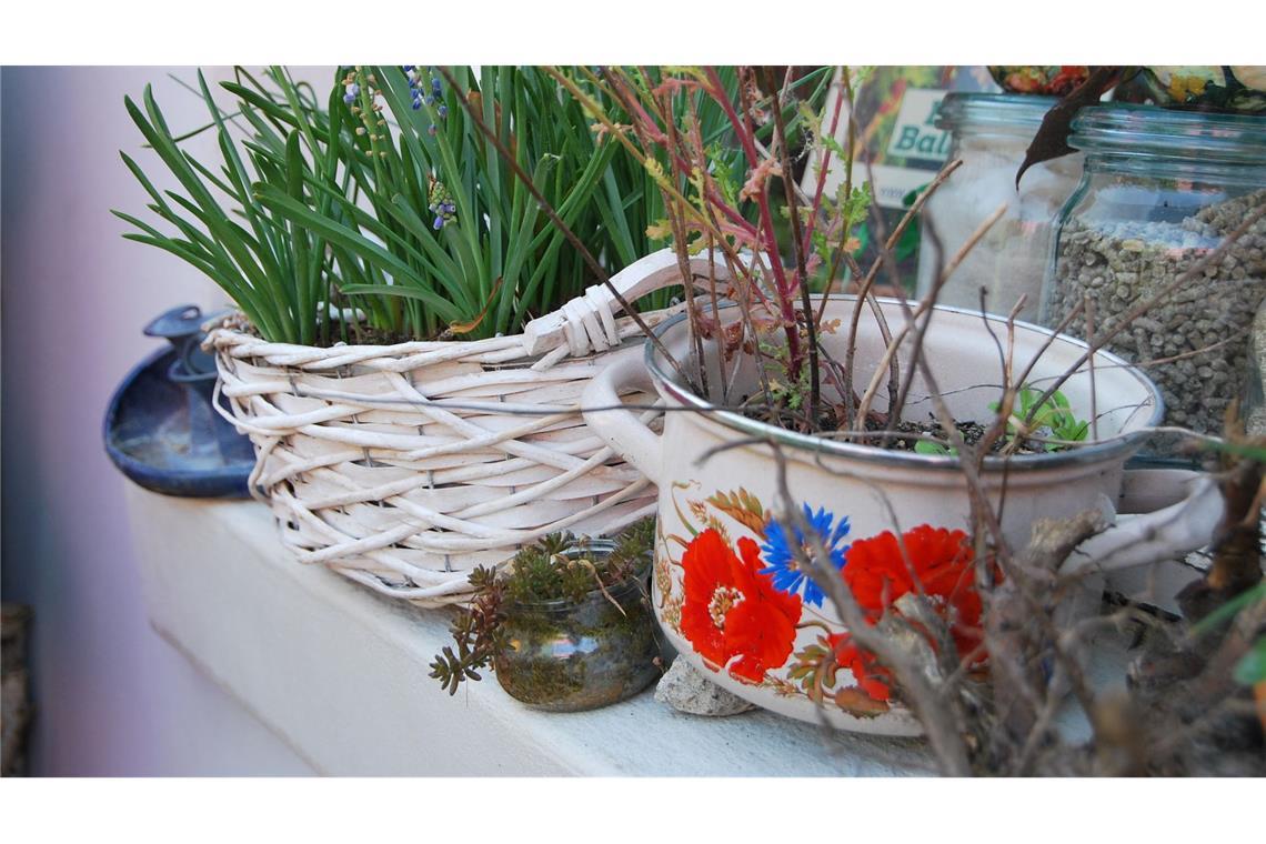 Bei der Wahl der Pflanzbehälter darf man kreativ werden.