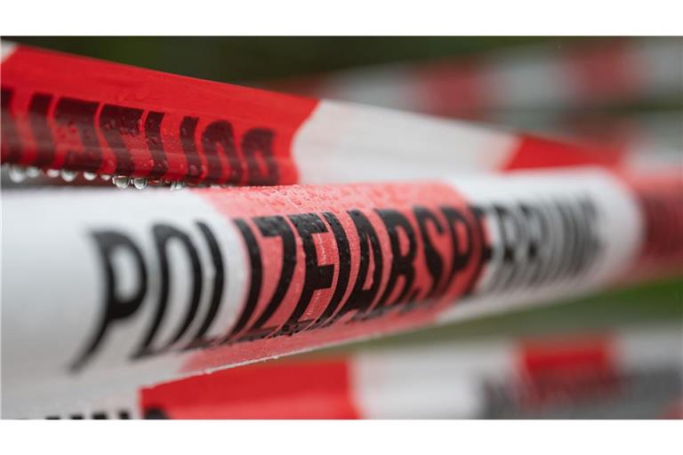 Bei drei Schulen in Baden-Württemberg musste die Polizei eingreifen. (Symbolbild)