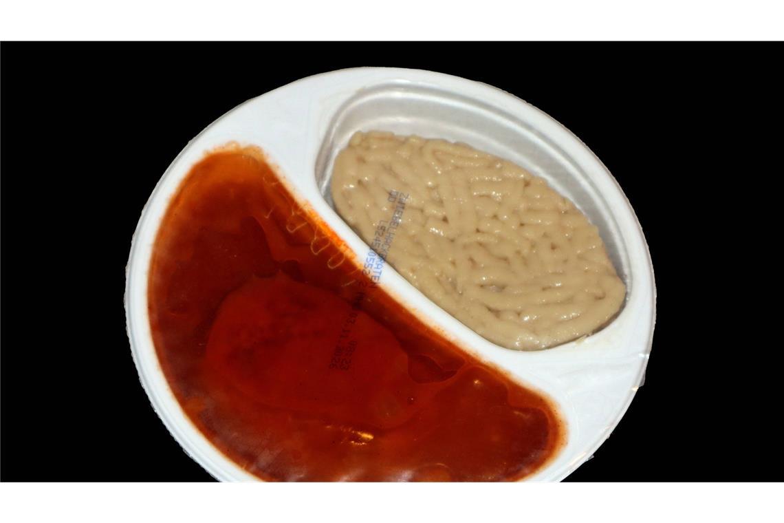 Bei einem bestimmten Fertiggericht drohen jetzt Hirn- und Leberschäden (Symbolbild/Archiv).