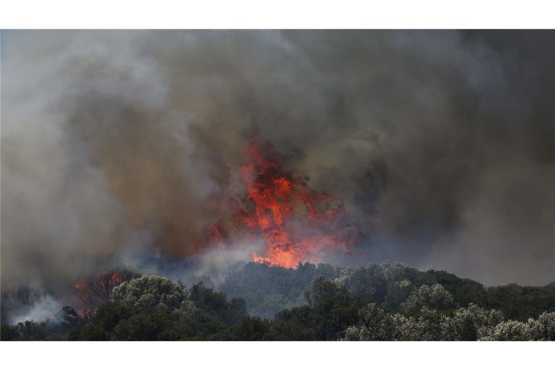 Zehn Tote bei Waldbrand im türkischen Eskisehir