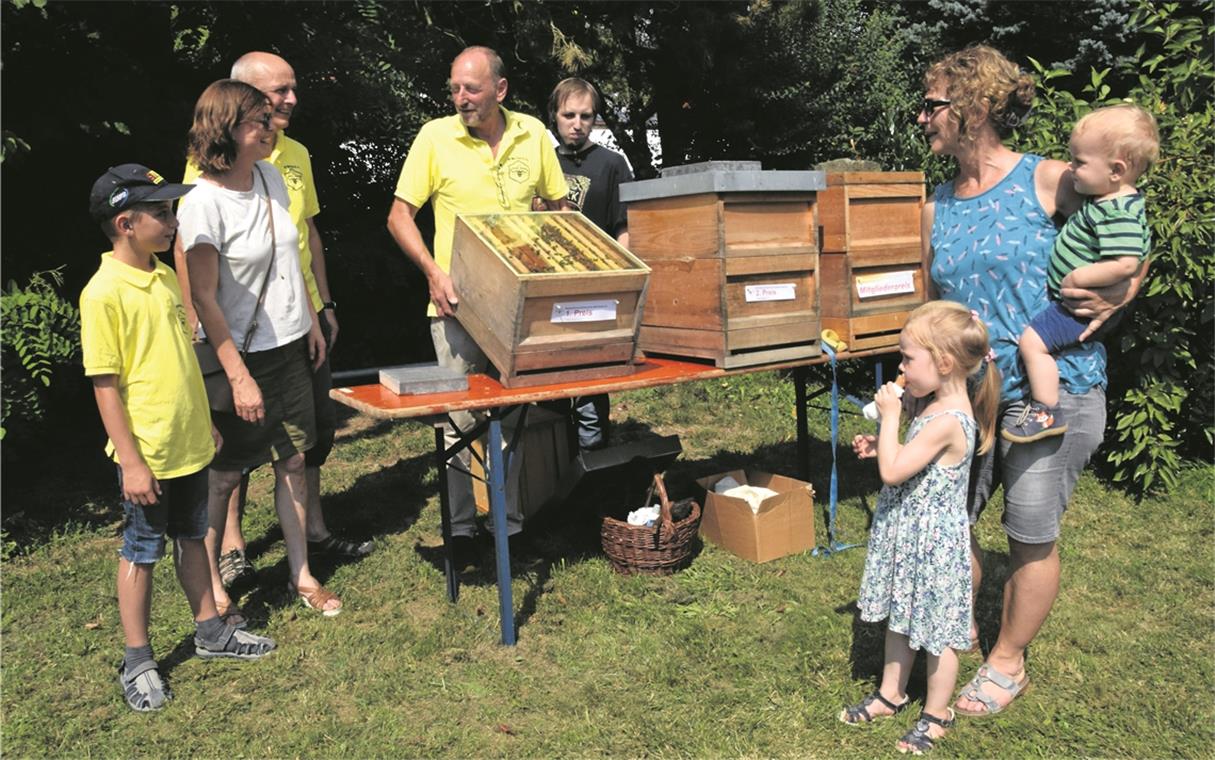 Honigausbeute fällt dieses Jahr mager aus Bei einer Führung mit Rudolf Hofmann (Vierter von links) unter dem Motto „Blick ins Bienenvolk“ hält der Vorsitzende spannende Details rund um die fleißigen Insekten bereit. Im Bienenstock, den er zeigt, ist jede Menge los. Foto: E. Klaper