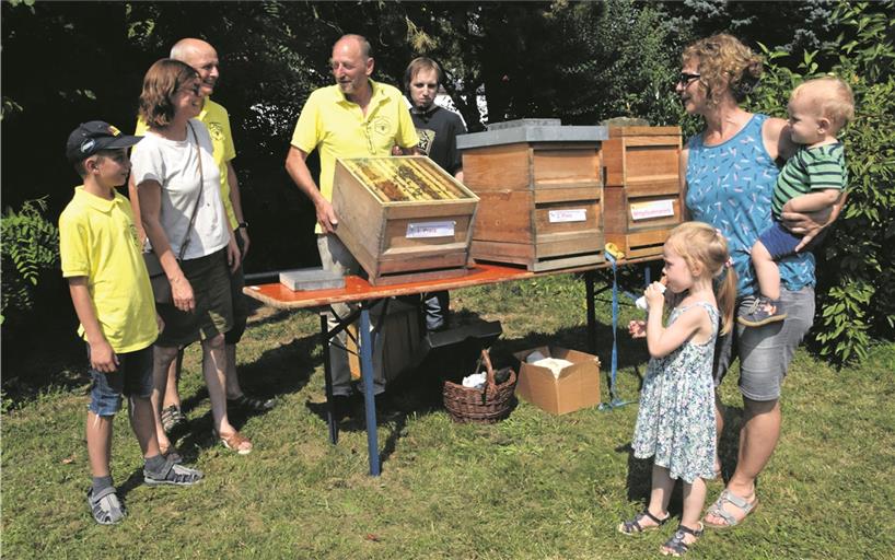 Bei einer Führung mit Rudolf Hofmann (Vierter von links) unter dem Motto „Blick ins Bienenvolk“ hält der Vorsitzende spannende Details rund um die fleißigen Insekten bereit. Im Bienenstock, den er zeigt, ist jede Menge los. Foto: E. Klaper