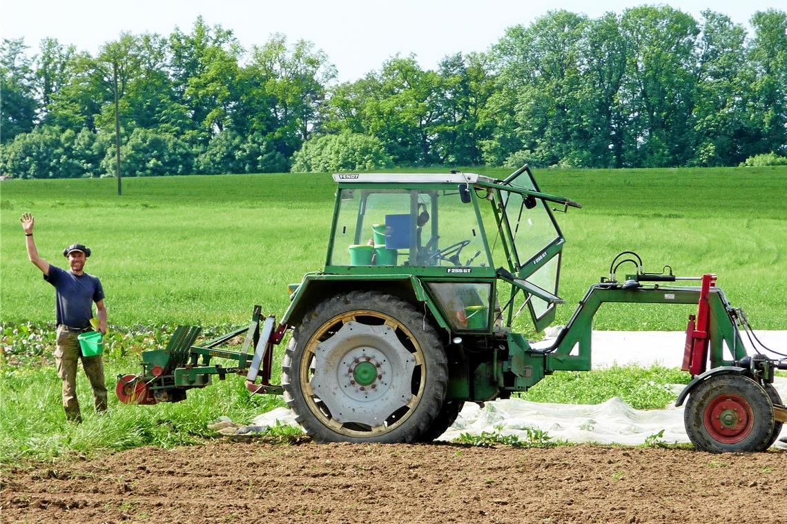 Bei Florian Keimer laufen die Fäden der Solidarischen Landwirtschaft zusammen. Er ist Betriebsleiter der Gärtnerei, die über eine Gemeinschaft von Mitgliedern und ihre Beiträge getragen wird. Zurzeit sind es rund zehn Mitarbeiter im Betrieb sowie 120 Mitglieder. Fotos: privat