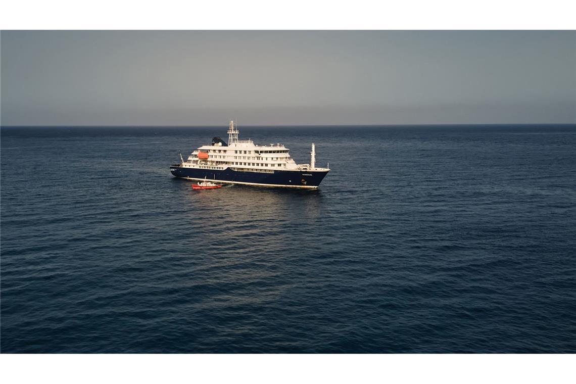 Bei Passagieren des niederländischen Kreuzfahrtschiffs "Hondius" wurden spezifische Hantaviren nachgewiesen.