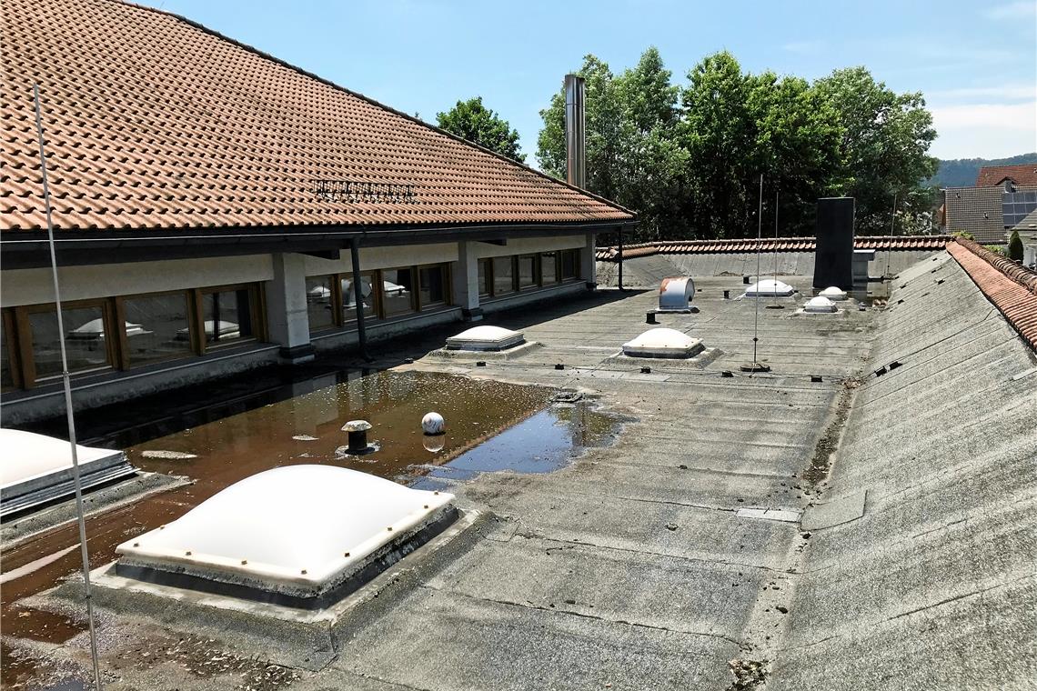 Bei Regen sammelt sich das Wasser an manchen Stellen auf dem Dach. Deshalb soll bei der Sanierung auch ein Gefälle eingebaut werden.