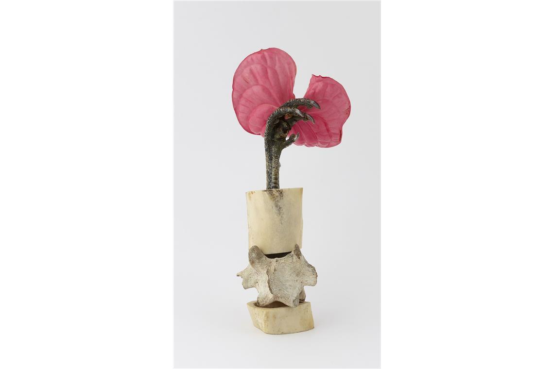 Galerienrundgang Art Alarm: Zwei Lange Kunst-Tage in Stuttgart Bei Ute Noll: Katrin Greiner, Broken Flowers, Anthurium,