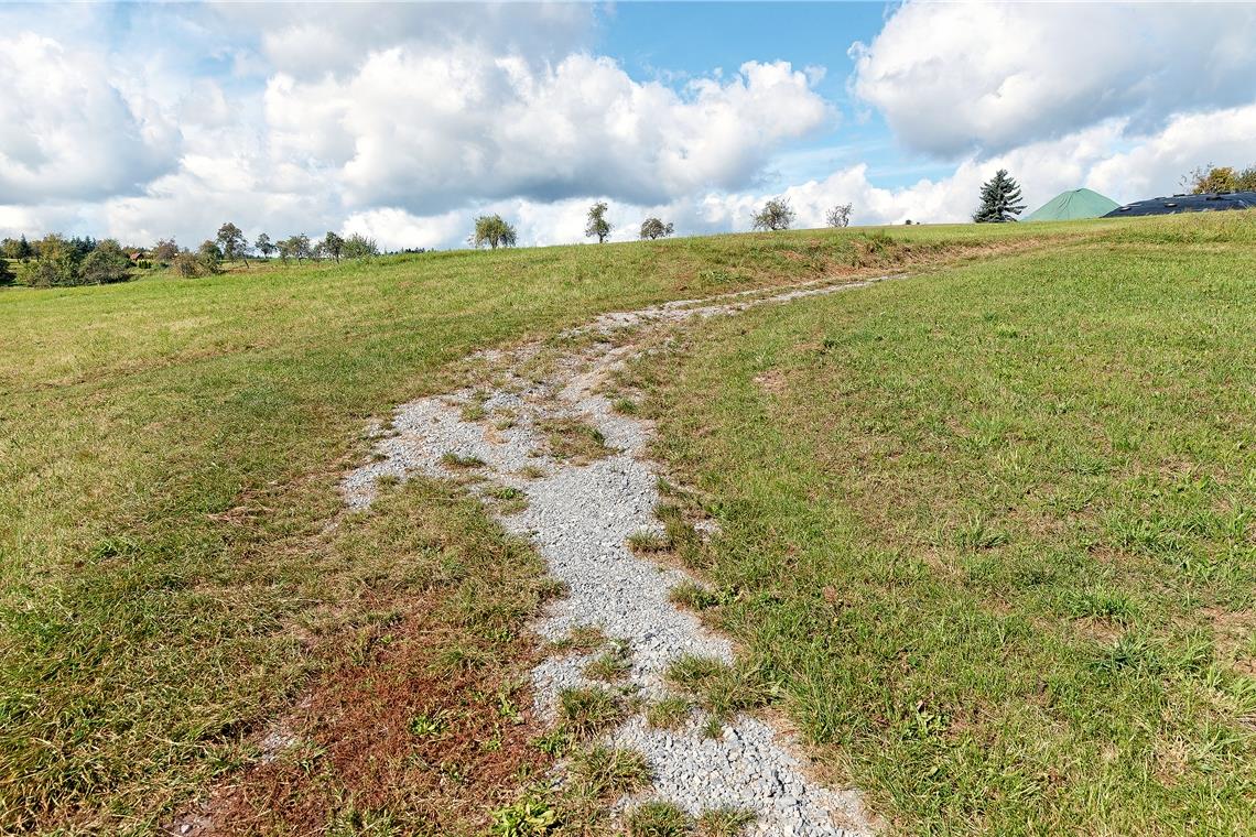 Stadt setzt auf Hilfe bei Feldwegsanierung Bei Vorderwestermurr wiederum sind es nur rund 90 Meter, aber wie die Aufnahme zeigt, ist der Weg dort schon stark zugewachsen beziehungsweise abgetragen. Fotos: J. Fiedler