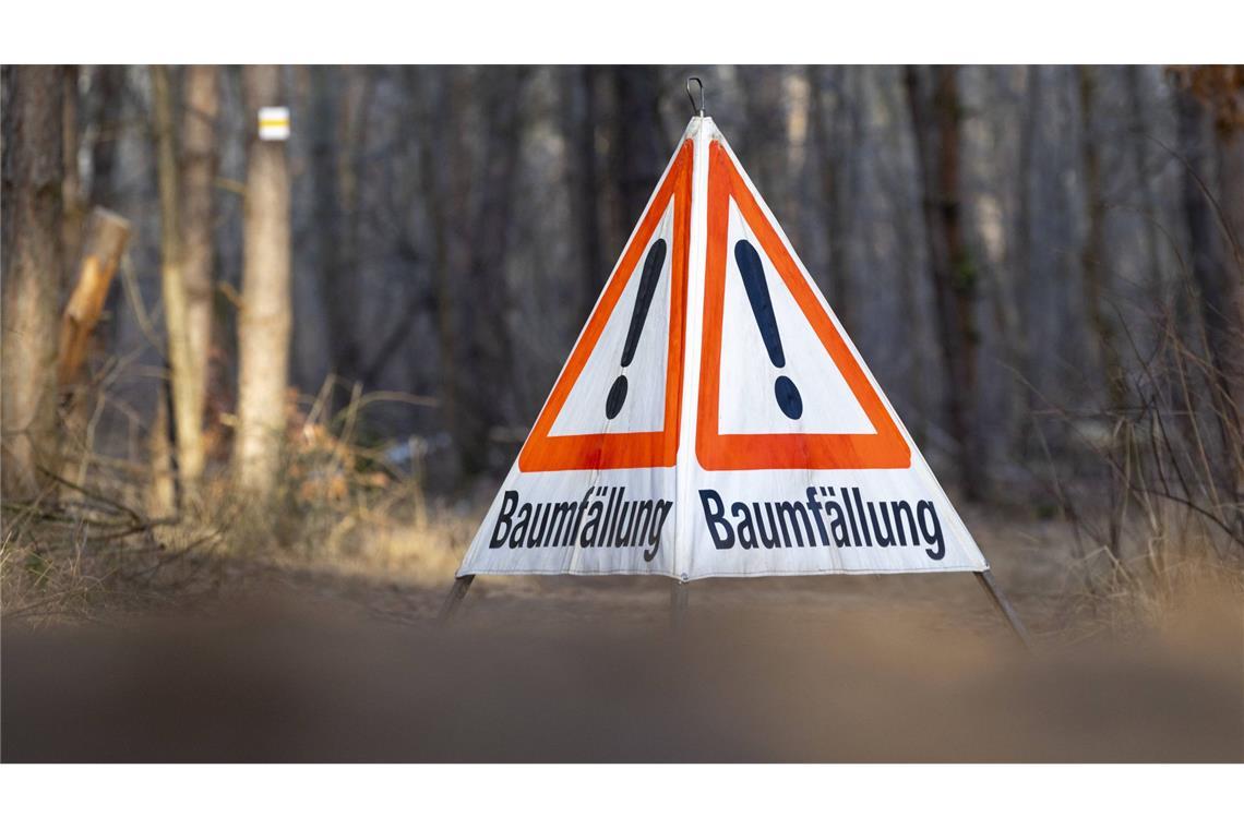 Bei Waldarbeiten in einem Göppinger Waldgebiet ist ein 78-Jähriger durch herabfallende Äste tödlich verletzt worden (Symbolfoto).