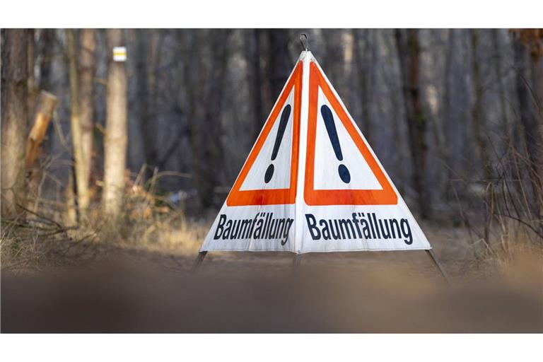 Bei Waldarbeiten in einem Göppinger Waldgebiet ist ein 78-Jähriger durch herabfallende Äste tödlich verletzt worden (Symbolfoto).