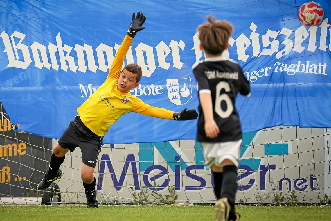 Beim 31. BKZ-Mini-Cup der Backnanger Kreiszeitung stehen am Samstag und Sonntag wieder die jüngsten Fußballer der Vereine aus der Region im Blickpunkt. Foto: Alexander Becher