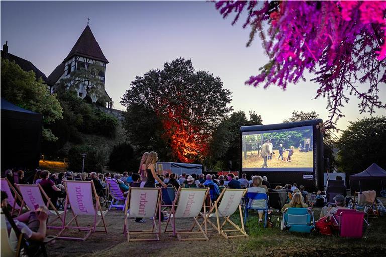 Beim Auftaktfilm waren die Sitzplätze des Open-Air-Kinos ausverkauft. Aber es gab noch die Möglichkeit, selbst einen Stuhl mitzubringen oder es sich auf der Wiese mit einer Decke gemütlich zu machen. Foto: Alexander Becher